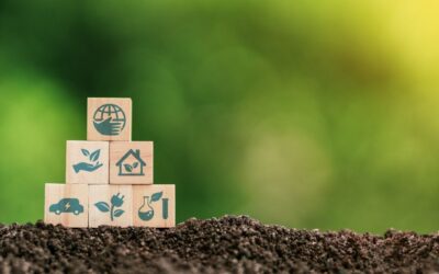 Navigating the Maze: Understanding ESG Reporting and Compliance